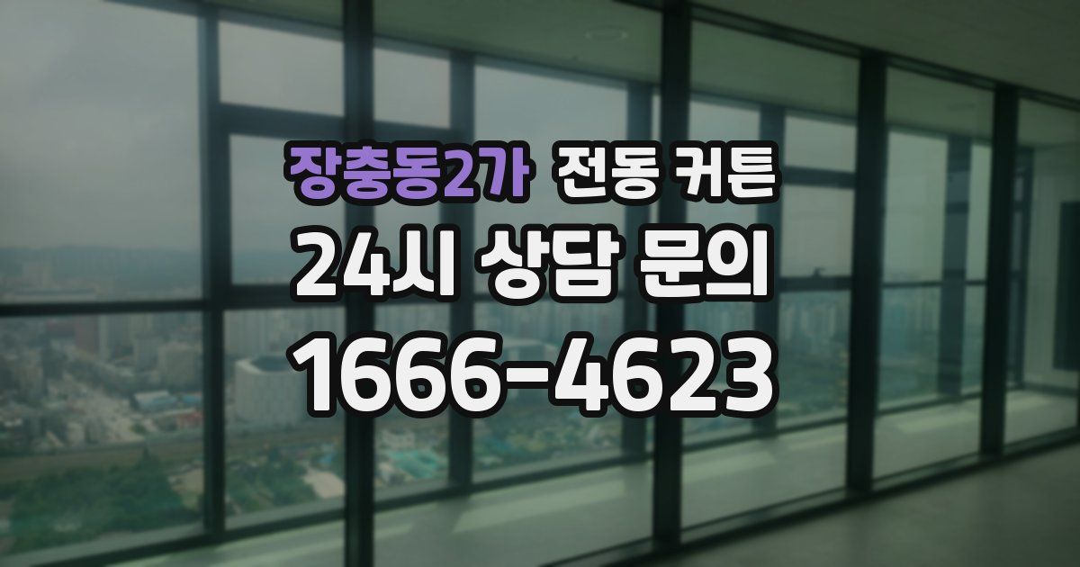 장충동2가 전동 커튼