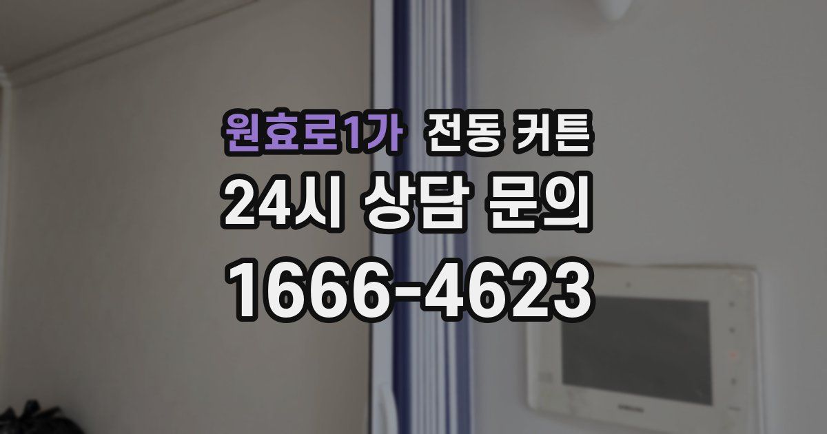 원효로1가 전동 커튼