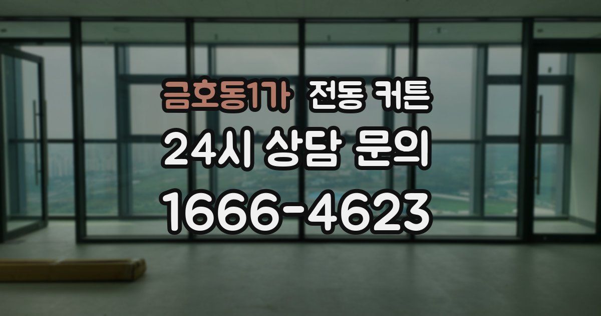 금호동1가 전동 커튼