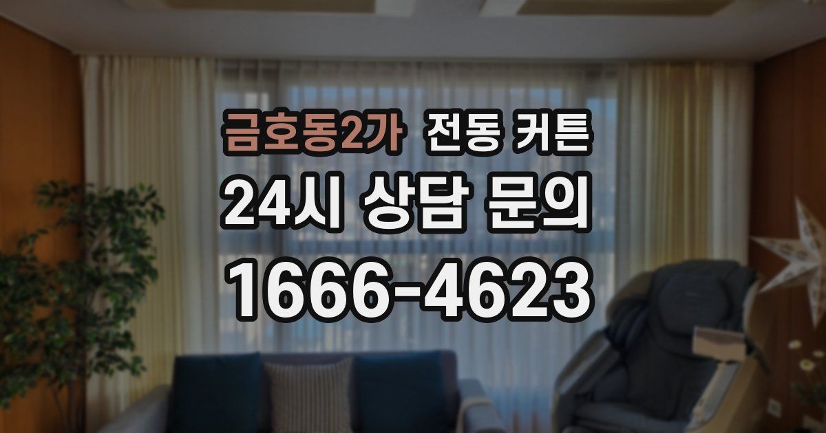 금호동2가 전동 커튼