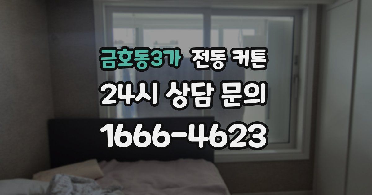 금호동3가 전동 커튼