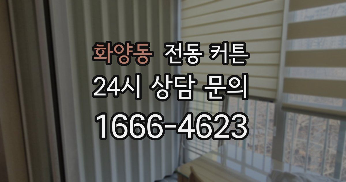 화양동 전동 커튼