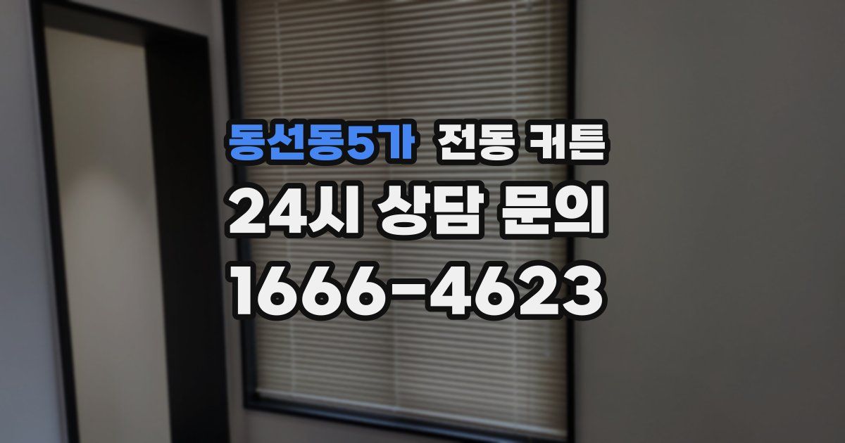 동선동5가 전동 커튼