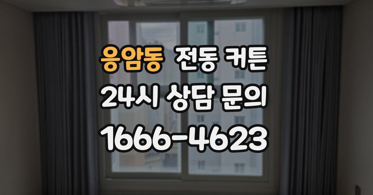 응암동 전동 커튼