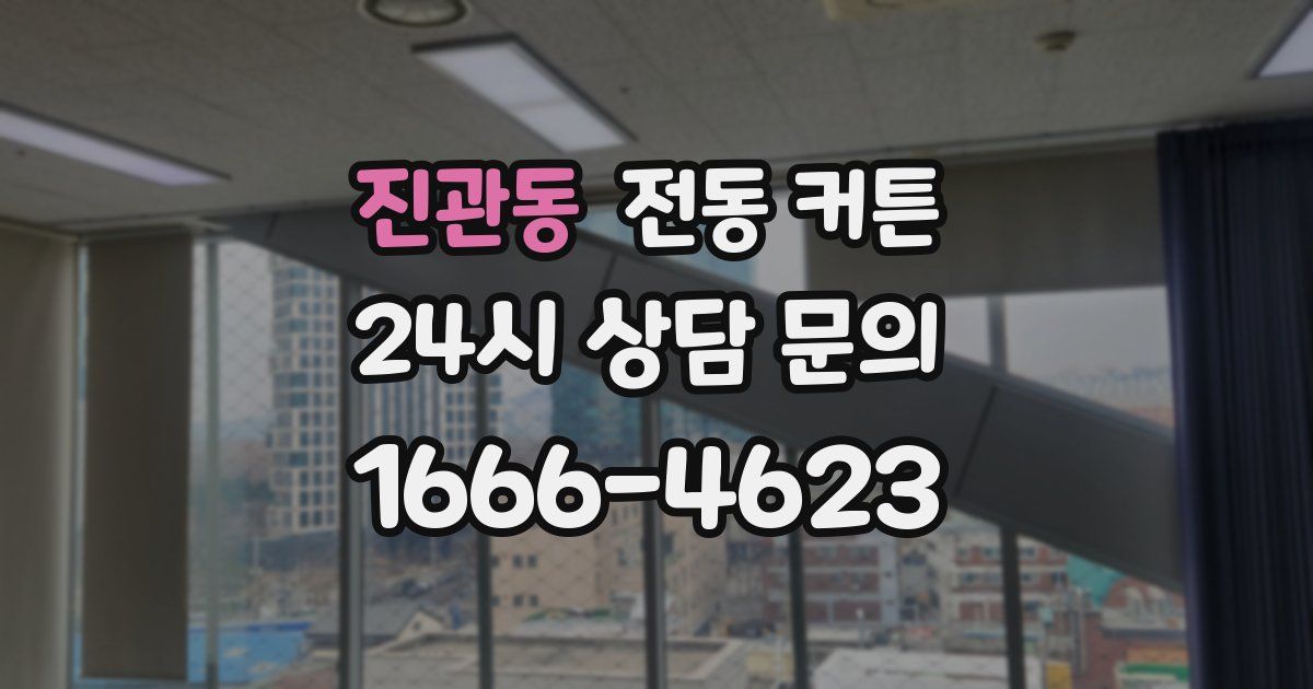 진관동 전동 커튼