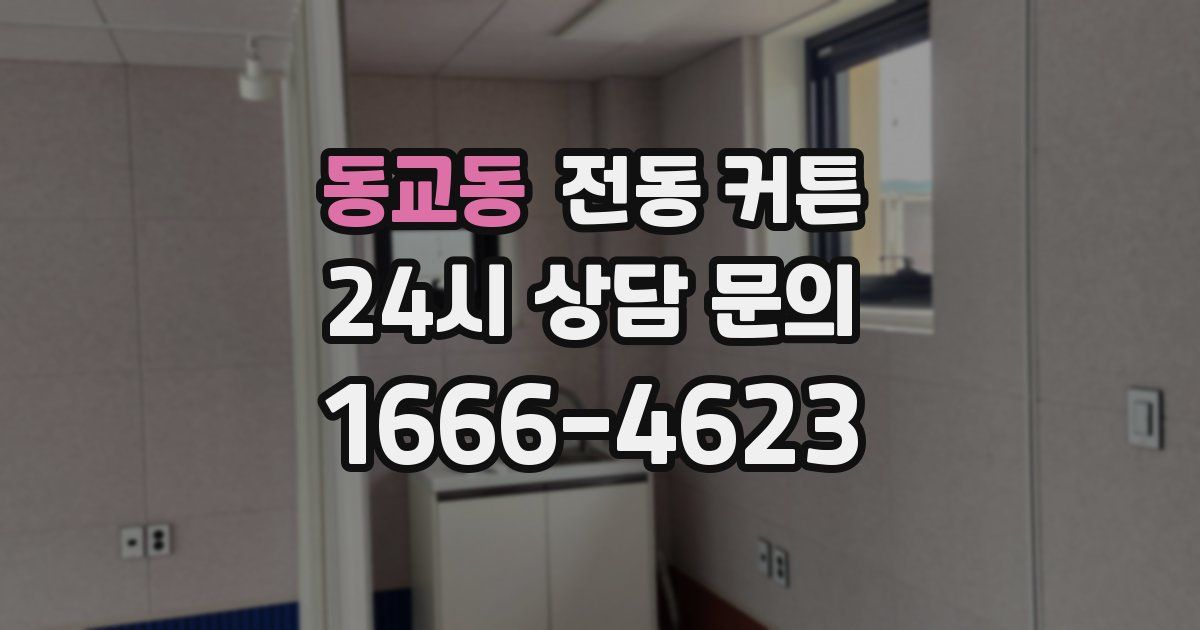 동교동 전동 커튼