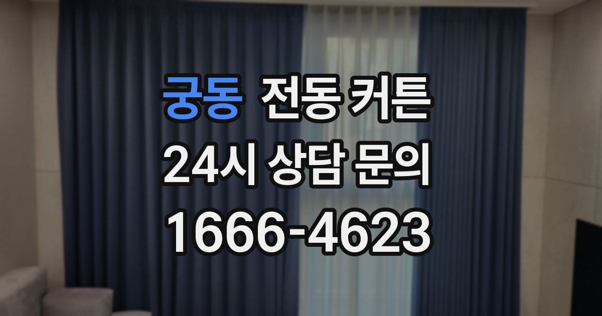 궁동 전동 커튼