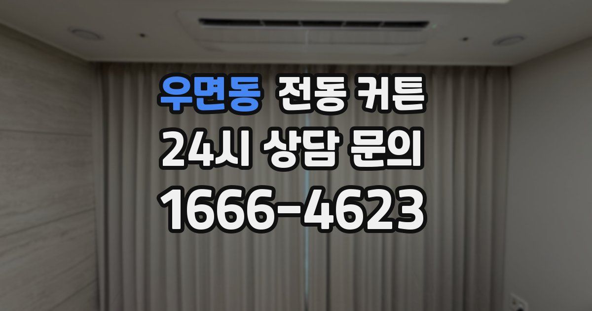 우면동 전동 커튼