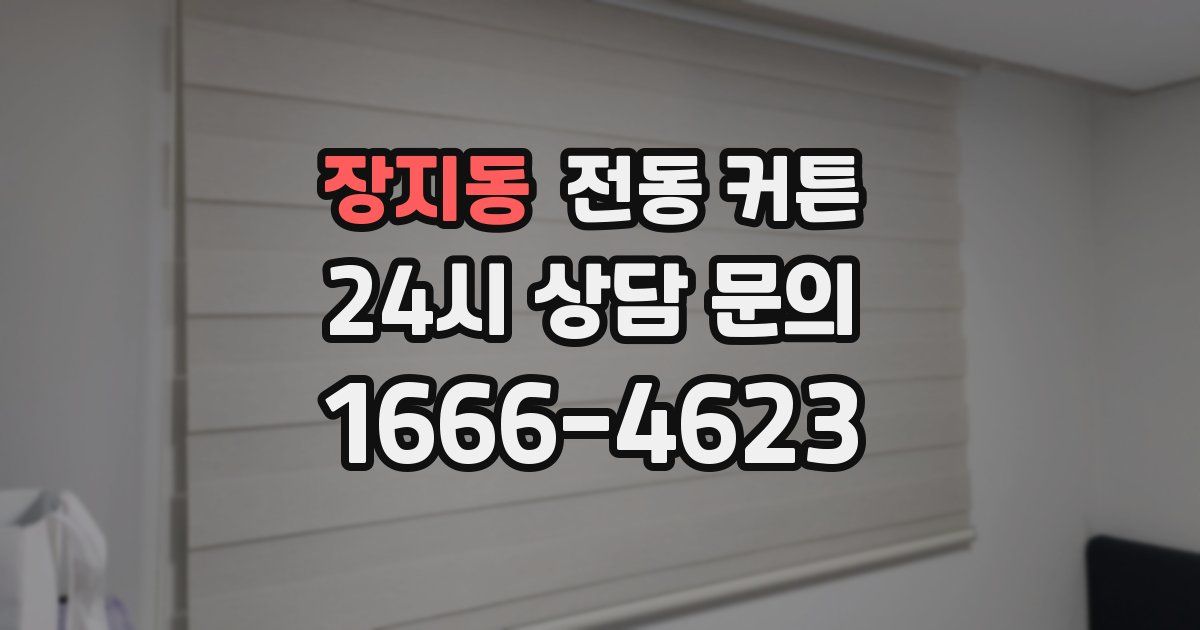 장지동 전동 커튼