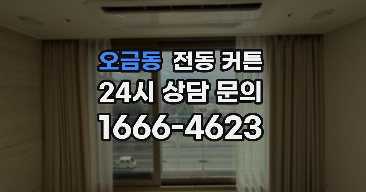 오금동 전동 커튼