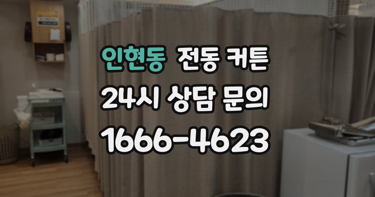 인현동 전동 커튼