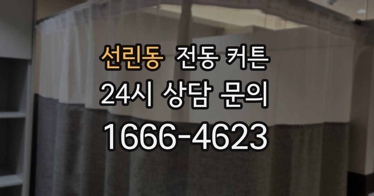 선린동 전동 커튼