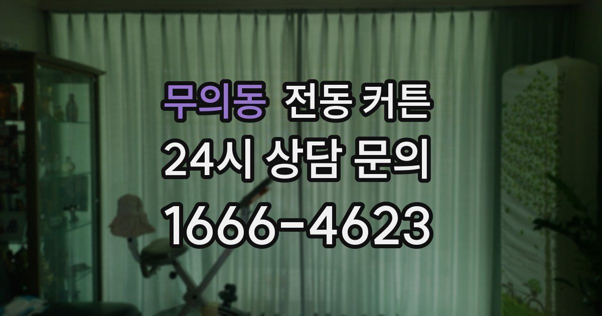 무의동 전동 커튼