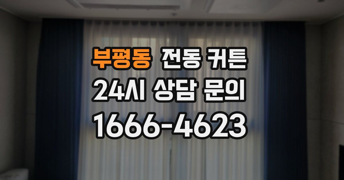 부평동 전동 커튼