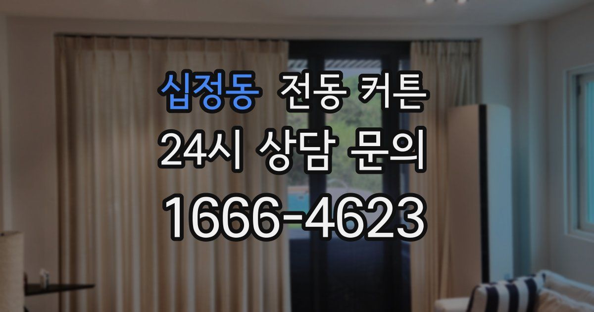 십정동 전동 커튼