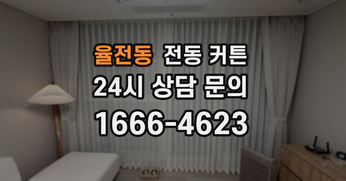 율전동 전동 커튼