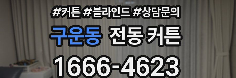 구운동 전동 커튼