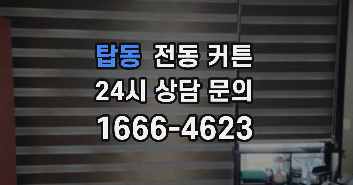 탑동 전동 커튼