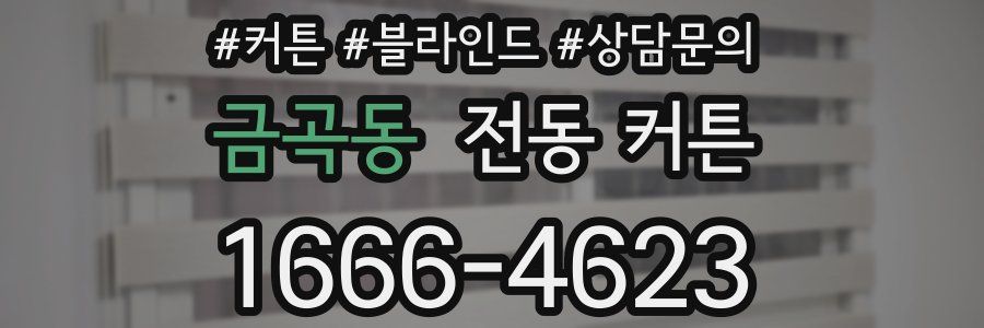 금곡동 전동 커튼