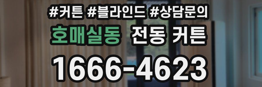 호매실동 전동 커튼