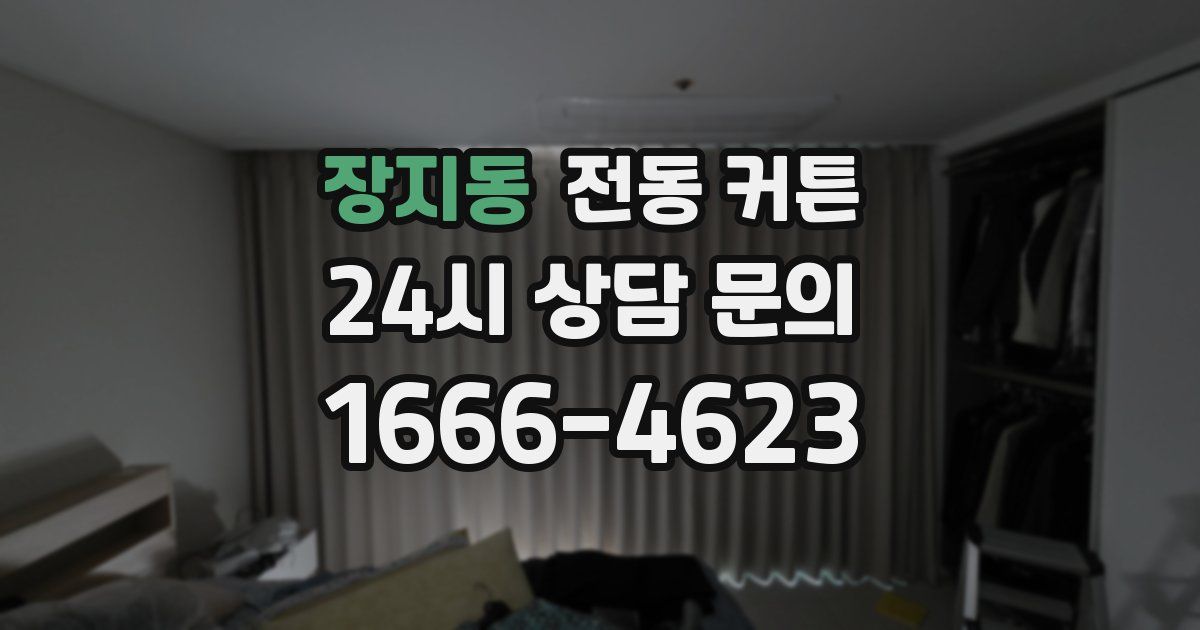 장지동 전동 커튼