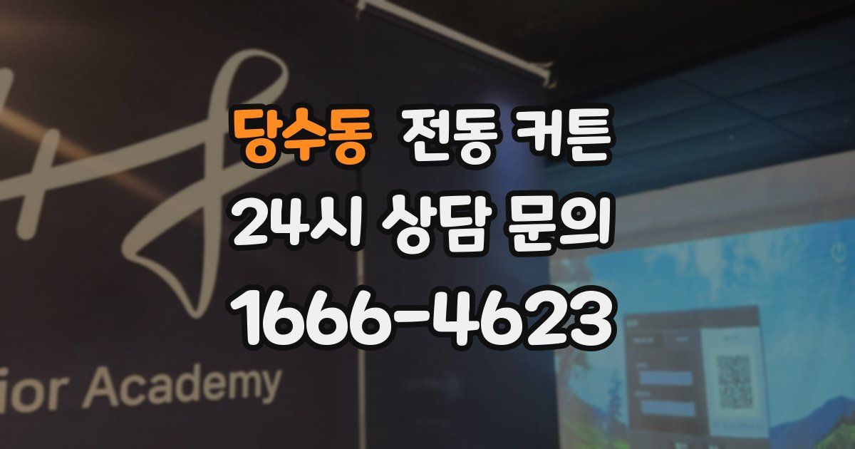 당수동 전동 커튼
