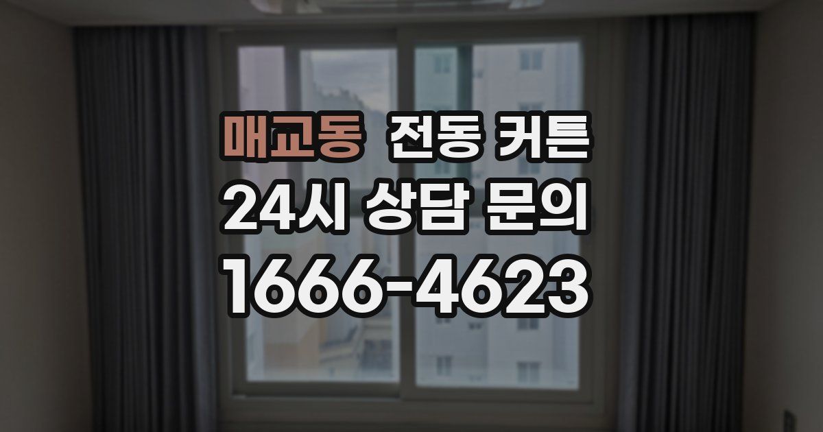 매교동 전동 커튼