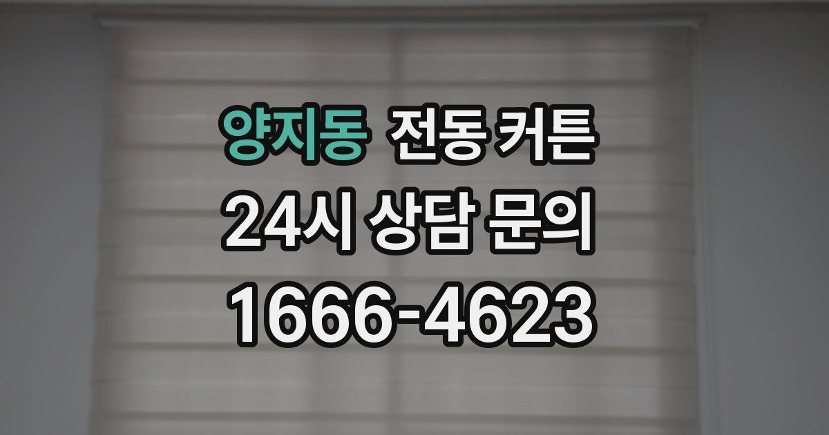 양지동 전동 커튼