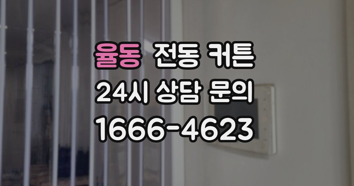 율동 전동 커튼