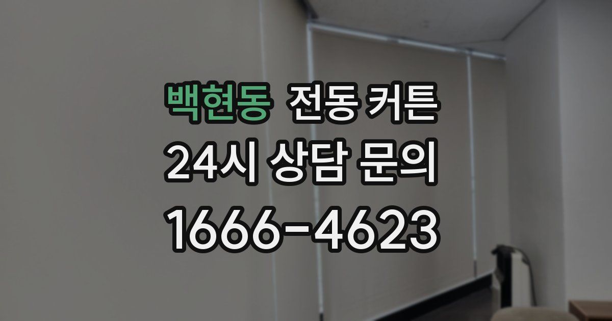 백현동 전동 커튼