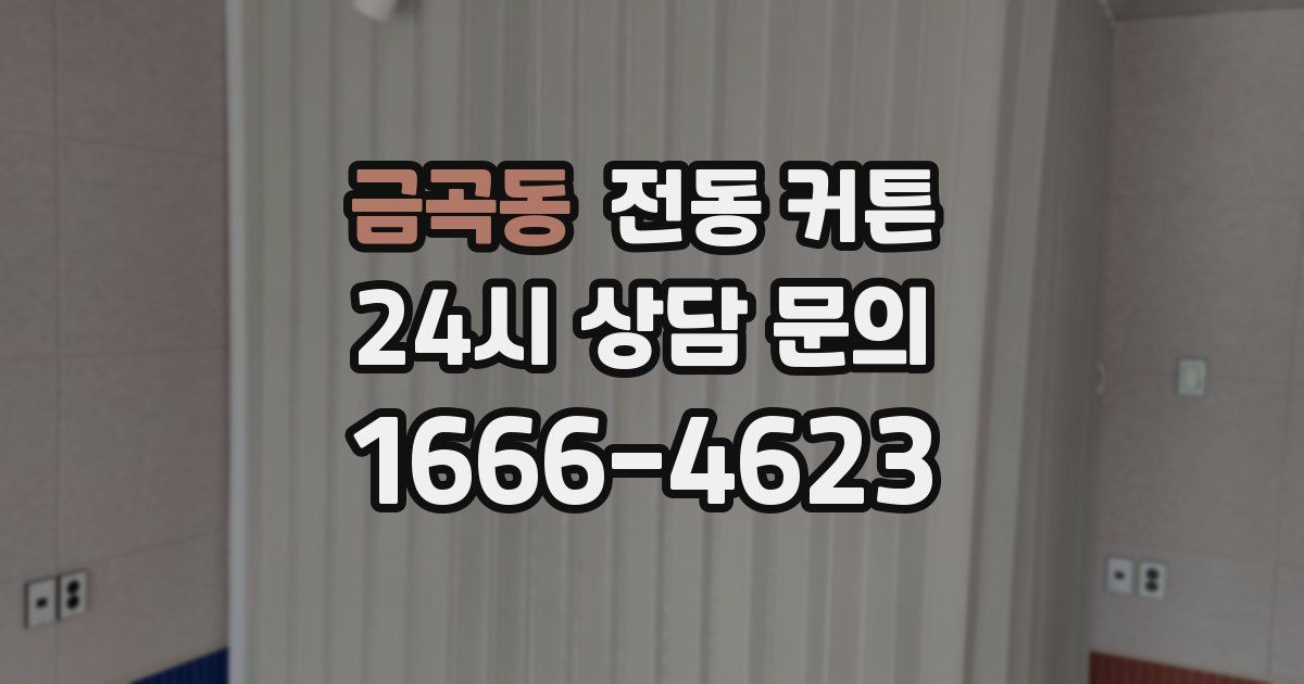 금곡동 전동 커튼