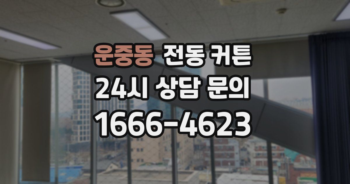 운중동 전동 커튼