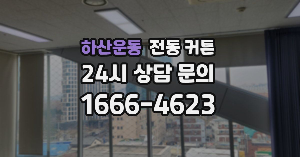 하산운동 전동 커튼