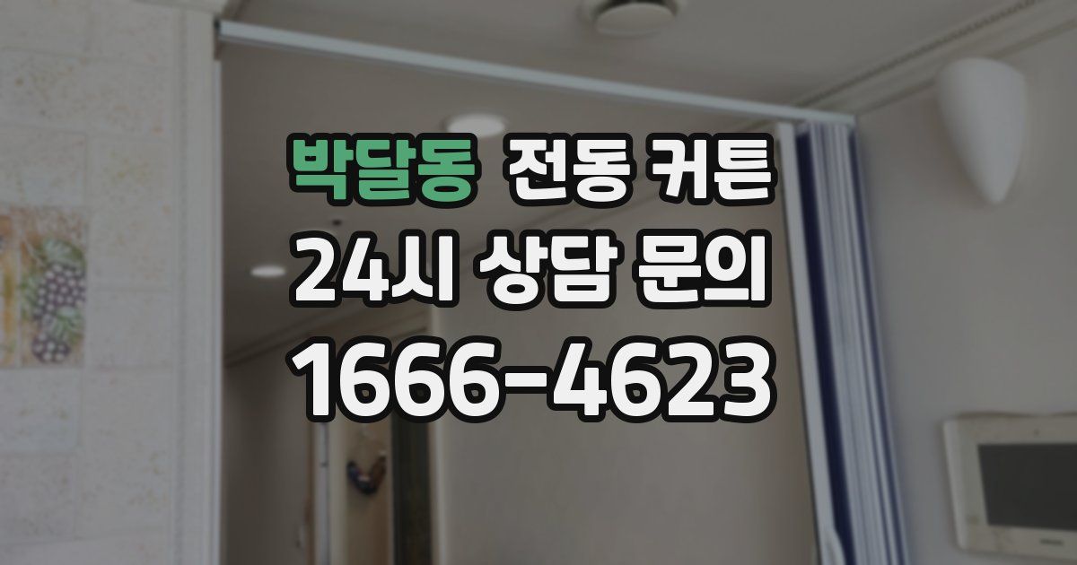 박달동 전동 커튼
