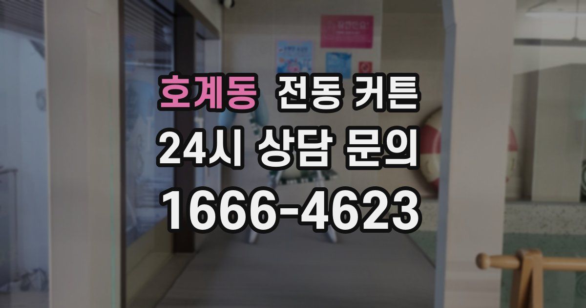호계동 전동 커튼