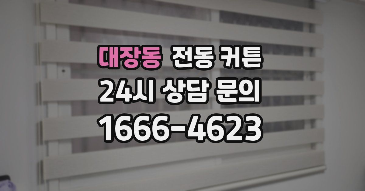 대장동 전동 커튼