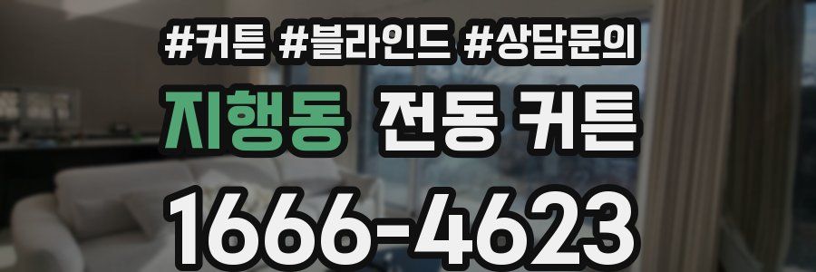 지행동 전동 커튼
