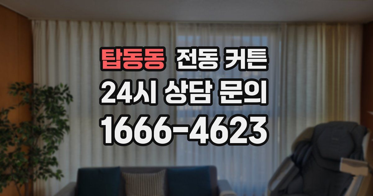 탑동동 전동 커튼