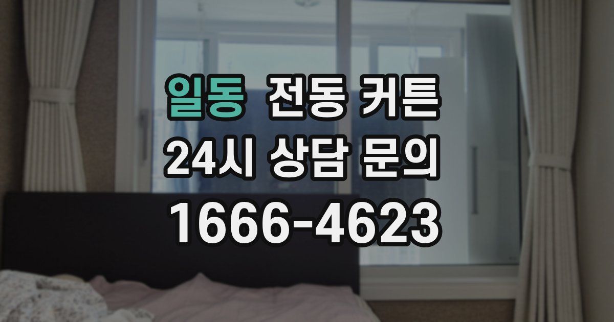 일동 전동 커튼