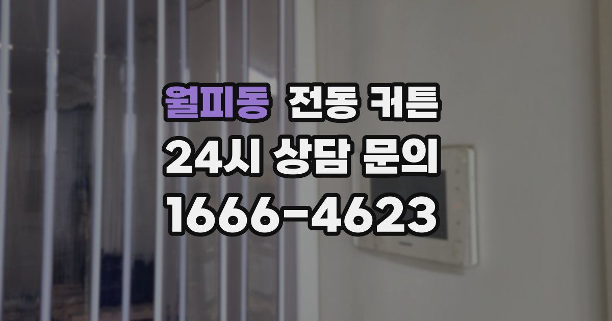 월피동 전동 커튼