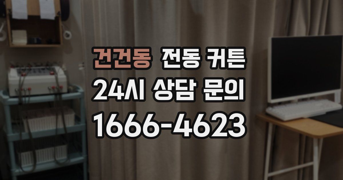 건건동 전동 커튼