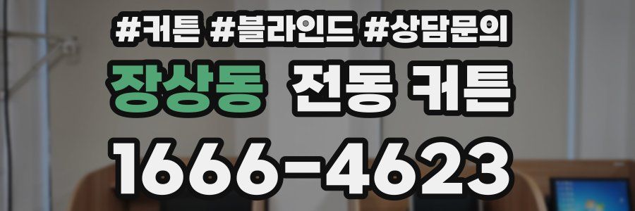장상동 전동 커튼
