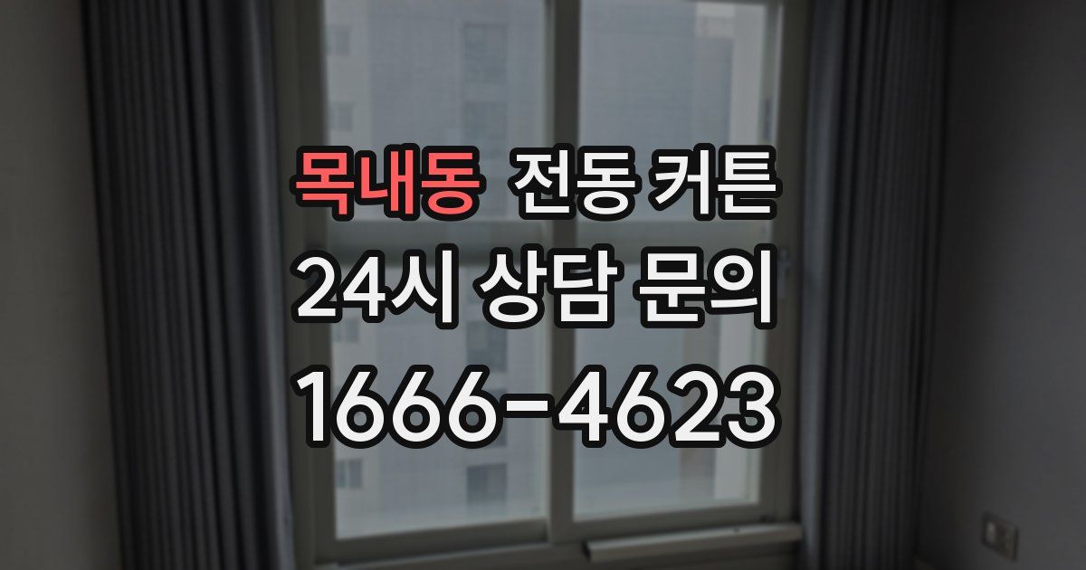 목내동 전동 커튼