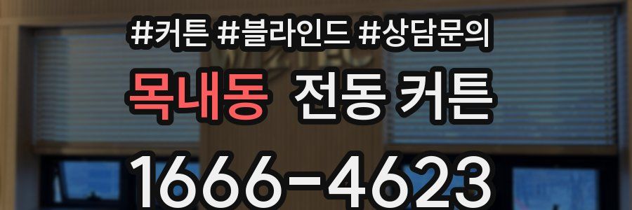 목내동 전동 커튼