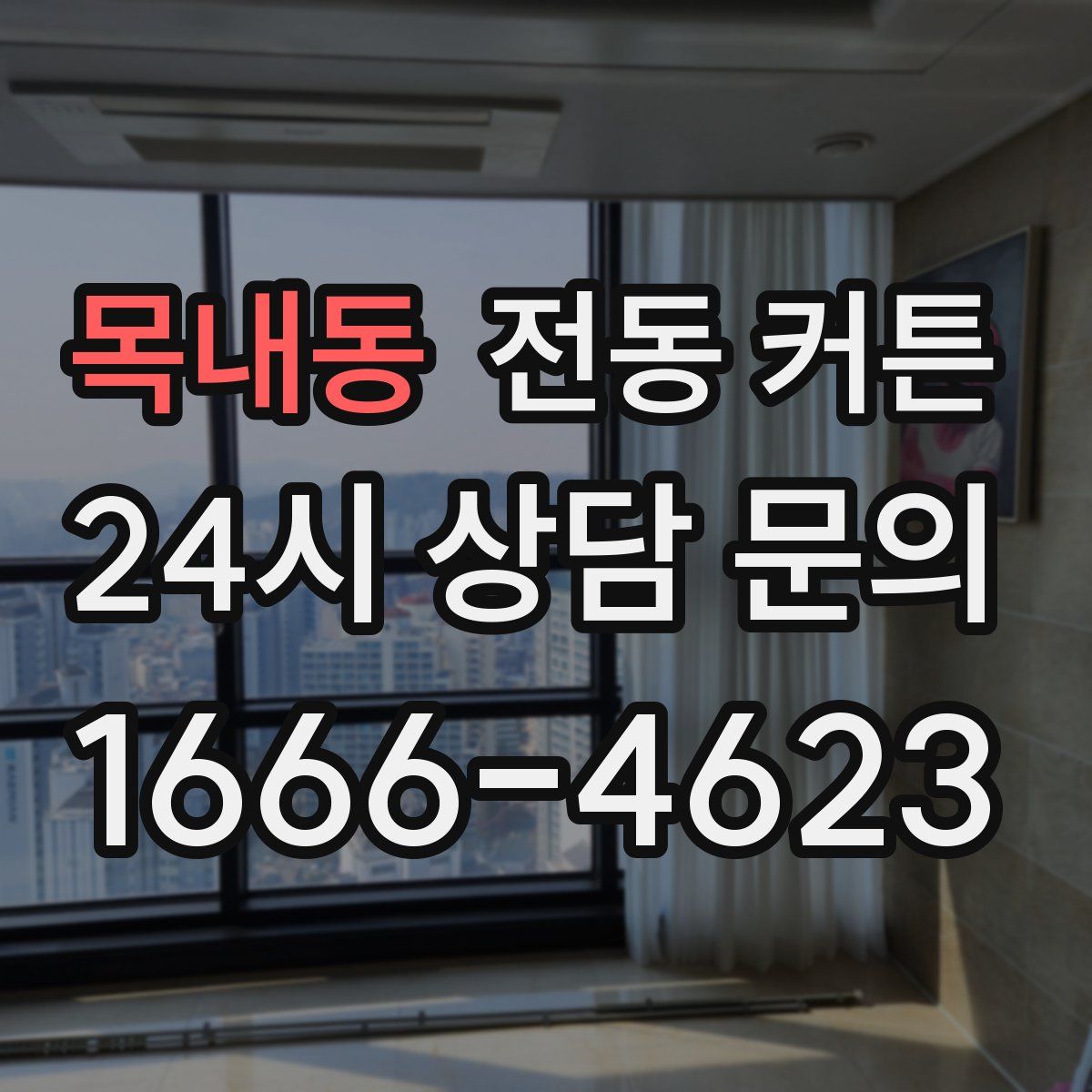 목내동 전동 커튼