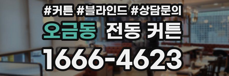 오금동 전동 커튼