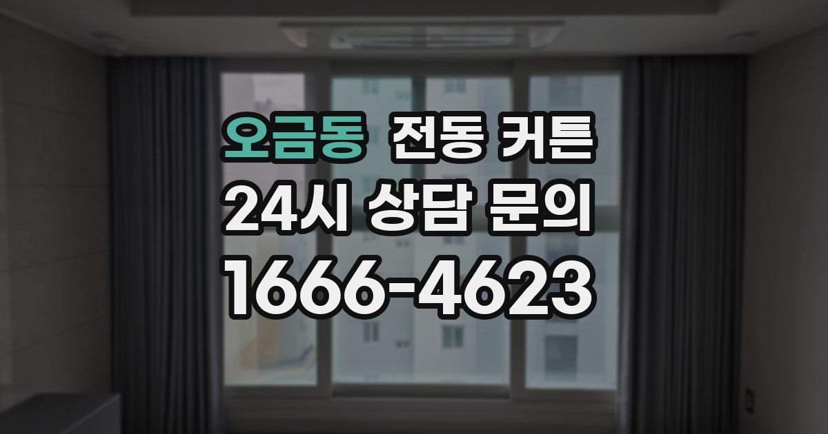 오금동 전동 커튼