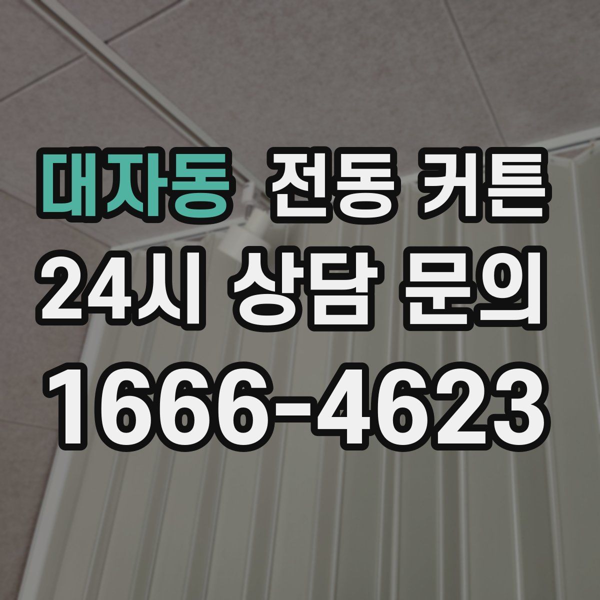 대자동 전동 커튼