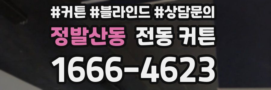 정발산동 전동 커튼