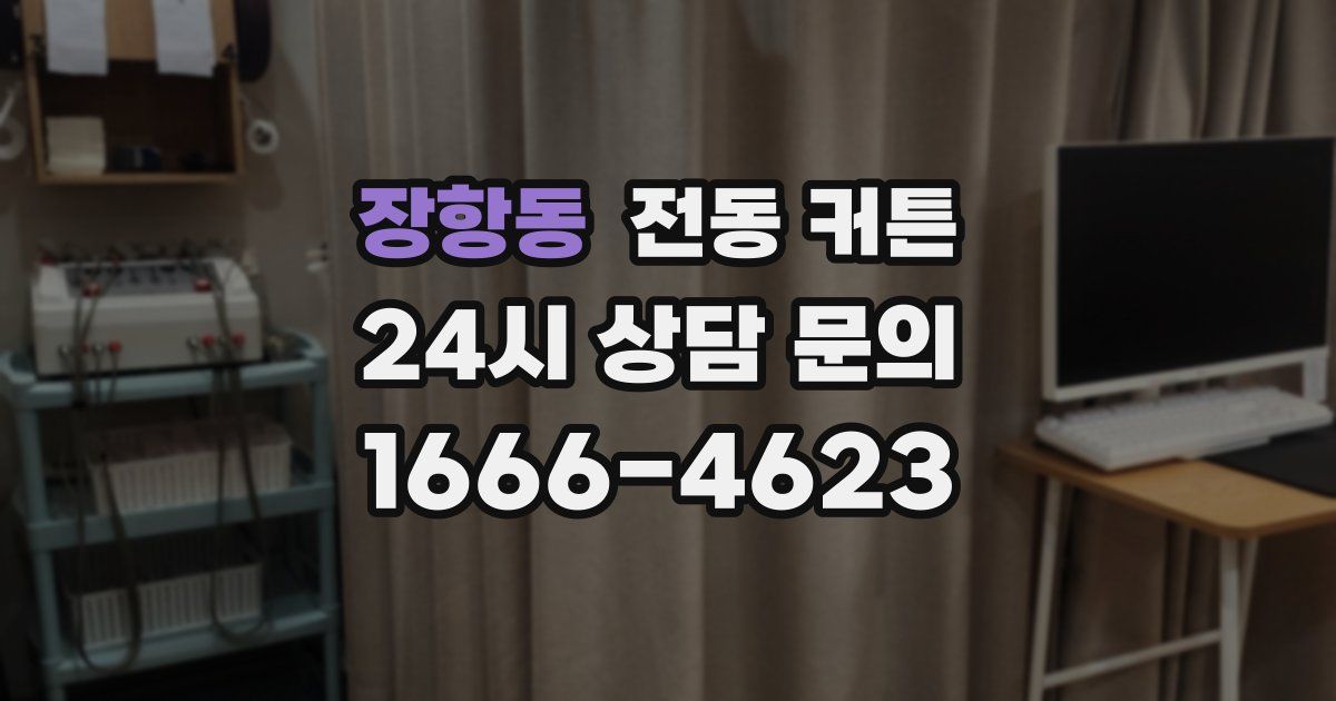 장항동 전동 커튼